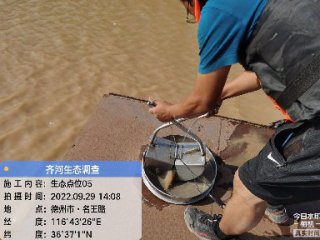 山东省德州市齐河县县域生物多样性调查与评估